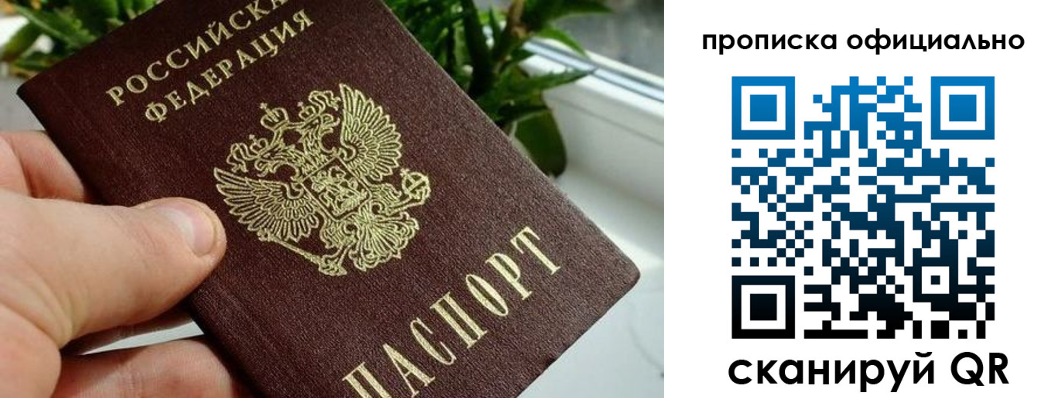 прописка поиск в Ленске